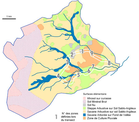 carte des surfaces élémentaires