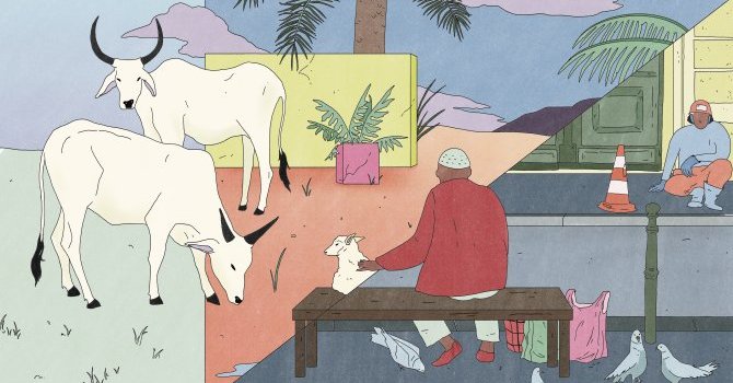 Image / illustration