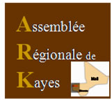 Image / illustration