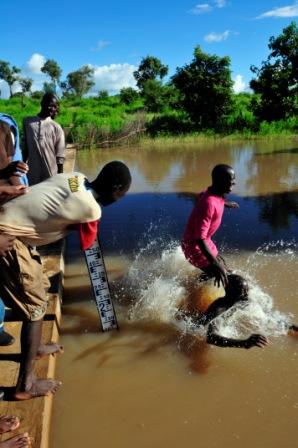 Image / illustration