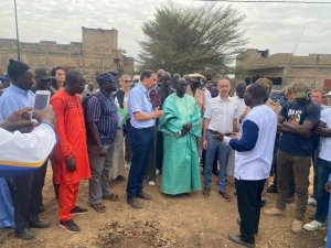 Image / illustration