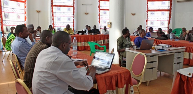 Image / illustration