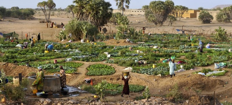 Image / illustration