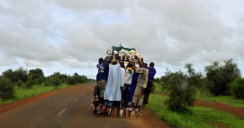 Image / illustration