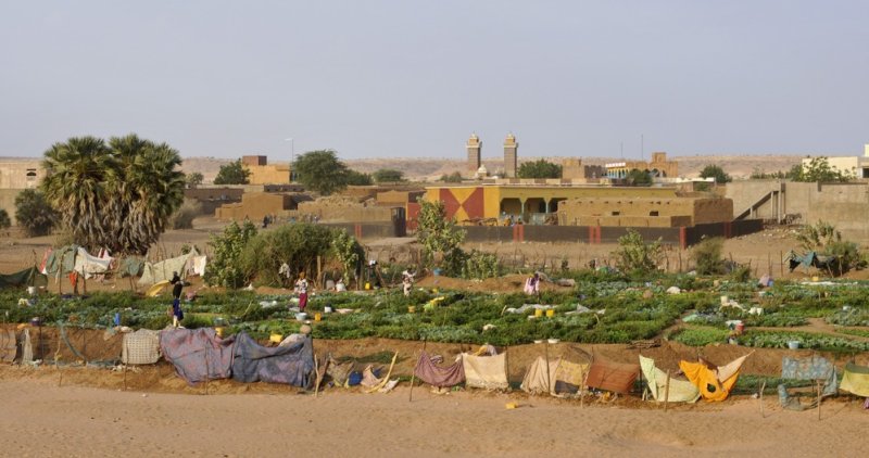 Image / illustration