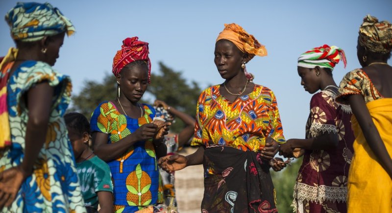 Image / illustration