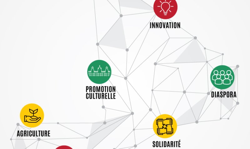 Image / illustration