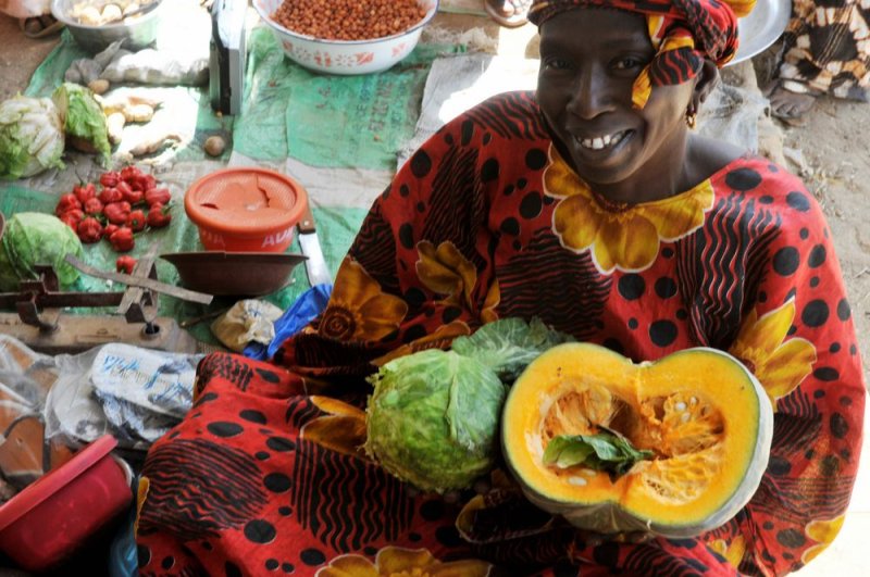 Image / illustration