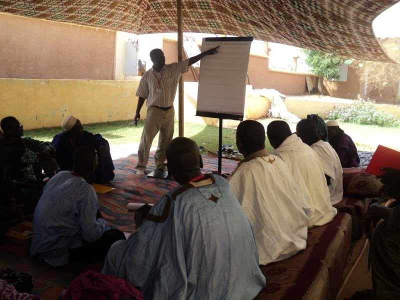 Image / illustration