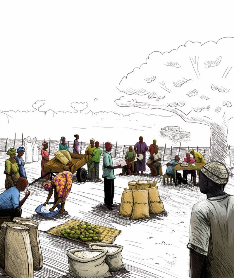 Image / illustration